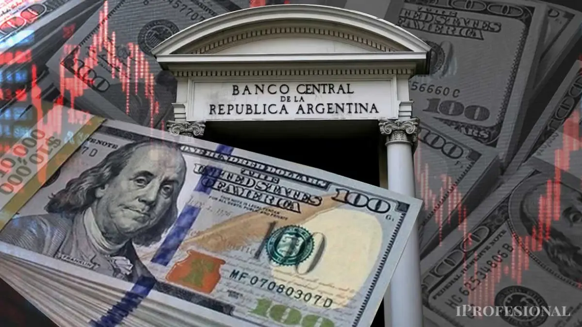 El Banco Central autorizó el pago de sueldos en dólares: cómo será la nueva modalidad