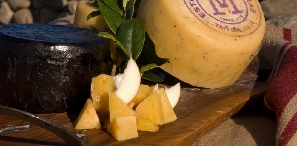 El queso tucumano que se produce hace más de 300 años y es el primer lácteo argentino con Indicación Geográfica